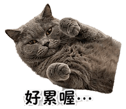 843936366
