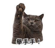 843936372