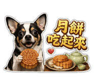 843937106