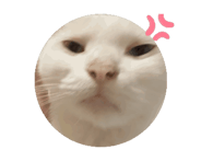 843937842