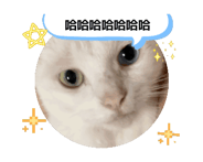 843937855