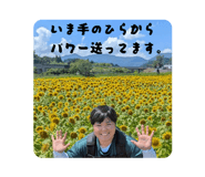 843938006