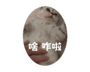 843938041