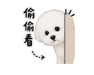 843938094