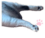 843938701