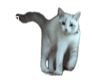 843938724