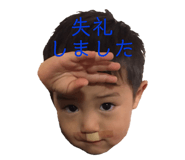84393878