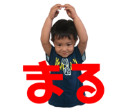 84393880