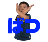 84393881