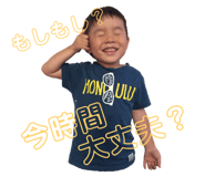 84393897