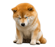 843938977