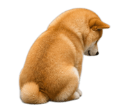 843938980