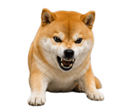 843938981