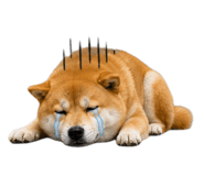 843938982