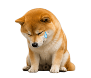 843938984