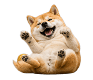 843938985