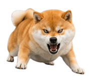 843938988