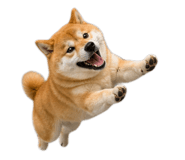843938989
