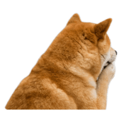 843938991