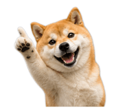 843938992