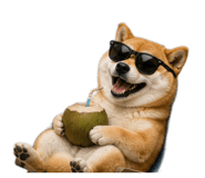 843938993