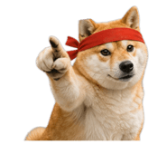 843938994