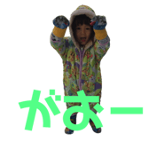 84393900