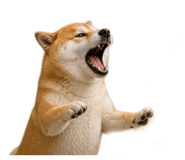 843939002
