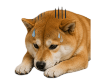 843939004