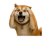 843939011