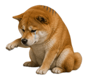 843939012
