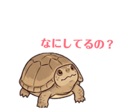 843939374