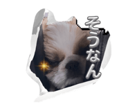 843939764