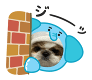 843939768