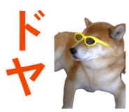 843940053