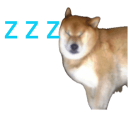 843940054