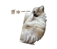 843940334