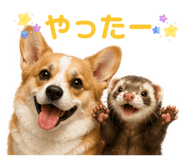 843940500