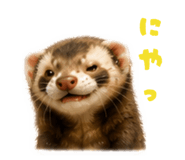 843940505