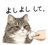 843940604