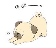 843941051