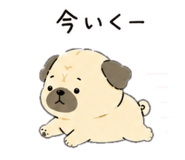 843941069