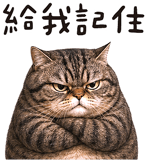 843941228