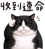 843941232