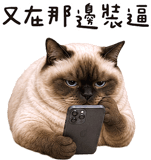 843941235