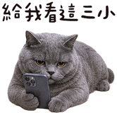 843941236