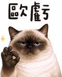 843941242