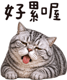 843941245