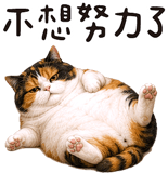 843941249