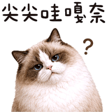 843941254